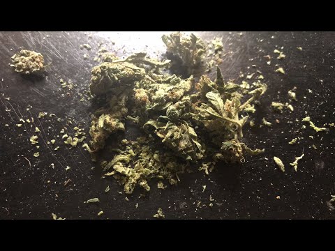 “UGH” BUSH WEED 🤮