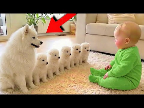 Try Not To Laugh 🤣😂 Best Baby And Dog Funny Moments Ever 