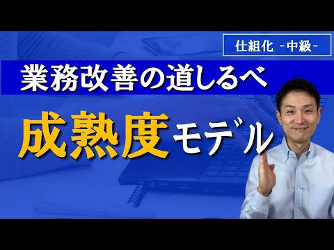能力成熟度モデルの統合 - 定義