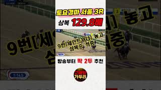 가두리의 고배당 픽!!!🎯경마🟢 경마 고배당🟢 서울경마🟡부산경마🔵제주 경마