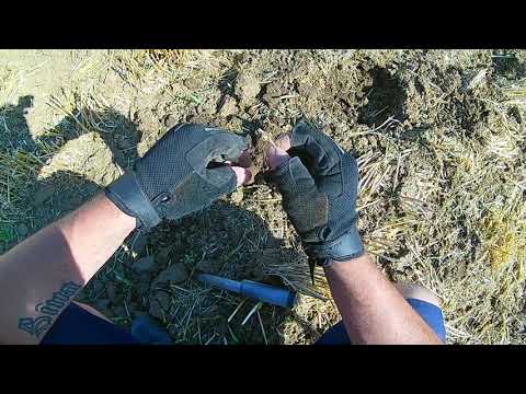 Sondeln mit Bronzezeitlichen Fund