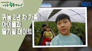 [딸기 부부의 금쪽같은 내 딸기] 귀농 2년 차, 동만 씨 부부의 딸기 농장