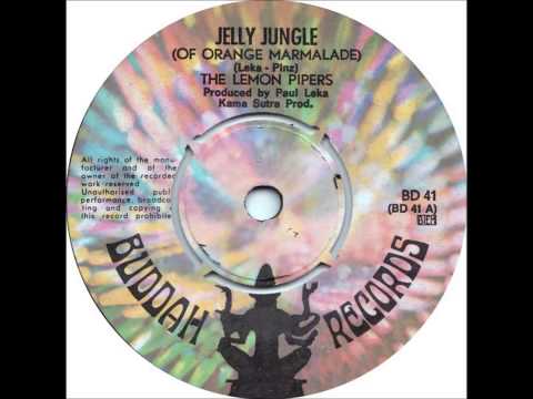 Jelly Jungle 45at33
