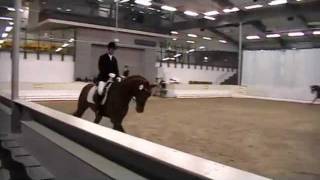 Video von Don Juan de Hus