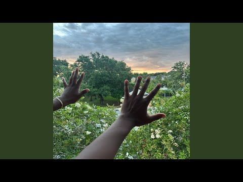 Coochie Land (feat. T5)