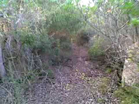 ARMNATT - The Ancient Path (Uncut Version).mpg