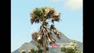 Heat wave likely to sweep Kerala say experts | ചുരം കയറുന്ന ചൂടുകാലം