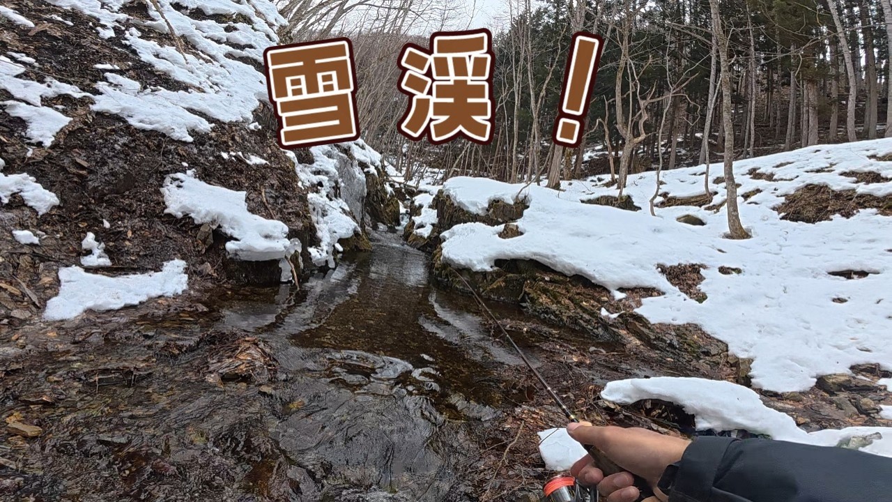 まだ雪の残る山岳渓流を詰めまくって尺岩魚を釣りにゆく！