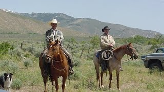 preview picture of video 'The Ruby Mountains in Elko, Nevada, Ruby Lake and the Last Chance Ranch June 2004'