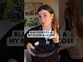 Blackberries My Blood Sugar CGM Experiment Bloodsugar Bloodglucose Blackberries