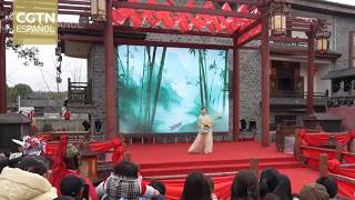 Celebraciones de Año Nuevo chino en el pueblo de Liukeng atrae a visitantes locales y extranjeros