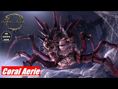ESO Gameplay 2022 (PC) Dungeons Coral Aerie [4K 60FPS HDR]