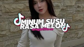 Download lagu MINUM SUSU RASA MELON JDM REMIX - [ arisplrfifteèn ] mp3