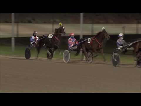 Victoria Park Wolvega 20-1-2017 KOERS 5 DAME ALKI - H.W. LANGEWEG JR