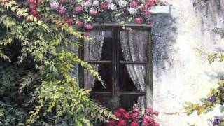 YA NO MAS....wmv..MARIA TOLEDO