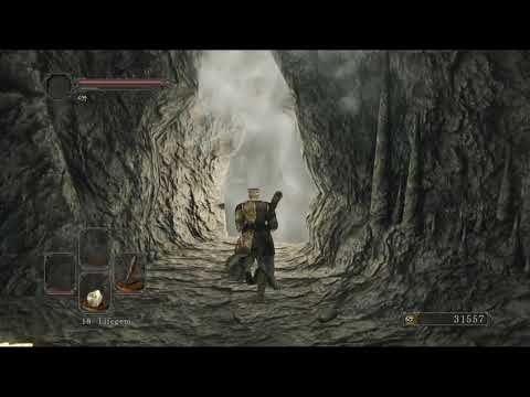 Dark Souls 2 SotFS [PC] No Death No Bonfire Run [Part 1]
