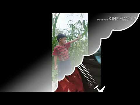 Yatharth Birthday Song | Nikunj Raval