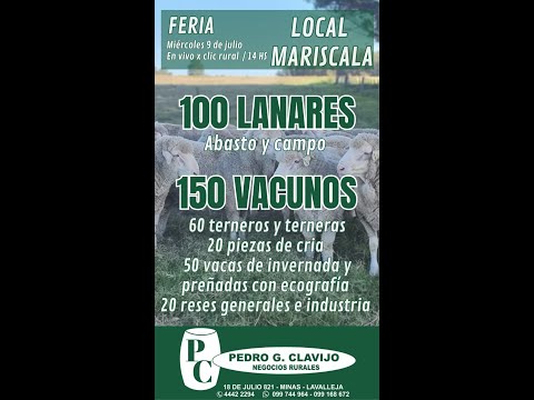 9/7/2025 Feria Mensual - Local Mariscala - Lavalleja - Pedro G. Clavijo