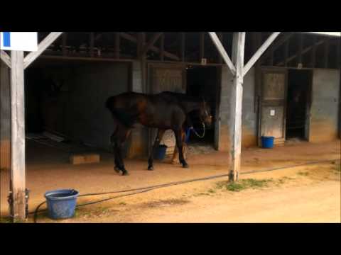 DTR video - 130311 BD1a