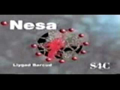 FULL S4C Schools Clockwork Dragon