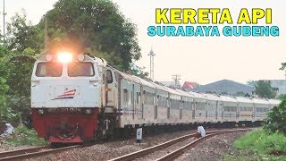 Download lagu Surabaya Gubeng's Finest: Featuring Elite Passenger Trains (Bangunkarta, Turangga, Bima, Ranggajati) mp3 Download lagu Surabaya Gubeng's Finest: Featuring Elite Passenger Trains (Bangunkarta, Turangga, Bima, Ranggajati) mp3