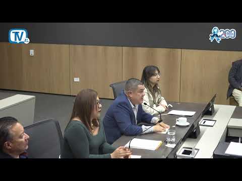 Comisión Especial de la Provincia de Puntarenas, 19 noviembre 2025