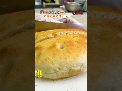 ¡¡Cómo se hace el pan recién horneado Volks!! #Volks #shorts