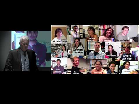 Distinguished Research Lecture 119–Professor Roy Parker