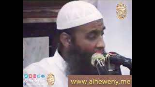 صورة جهود الشيخ الألباني فى خدمة الأحاديث النبوية | للشيخ الحويني