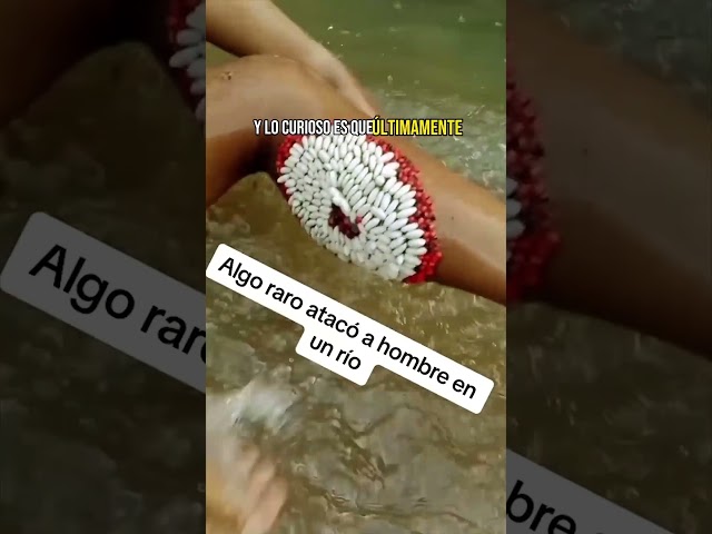 Vídeo relacionado con Juego de 30 colgantes de estilo antiguo mixto con diseño de esqueleto y corazón (plata)