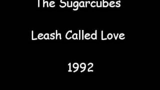The Sugarcubes - Leash Called Love