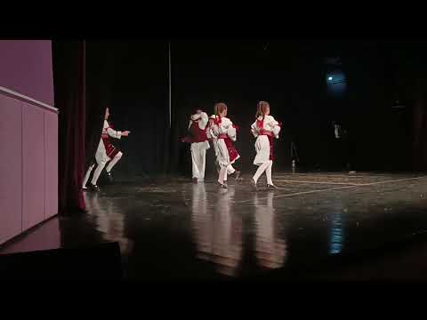 KUD Mladost Avala-Vojvodina