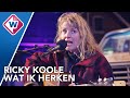 Ricky Koole - Wat Ik Herken | De Troubadours