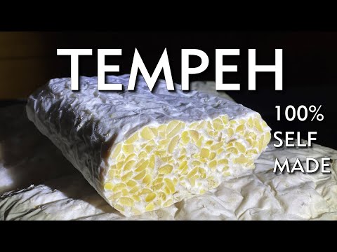 Tempeh selber machen - traditionell indonesische Eiweißquelle