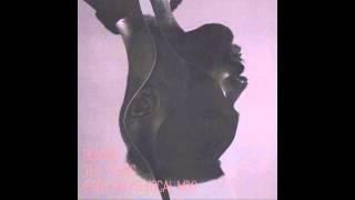 Bonobo - Ten Tigers (Forsthays Vocal Mix)