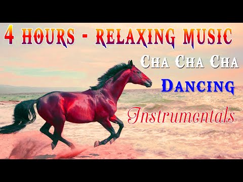 4 Hour Of Beautiful Cha Cha Cha Music | Very Relaxing Instrumental Dancing Music