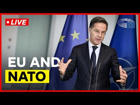 NATO Chief Rutte on transatlantic security and defence