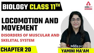 Class 11 Biology Chapter 20 | Locomotion and Movement | Disorders Of Muscular And Skeletal System