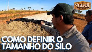 COMO DEFINIR O TAMANHO DO SILO DE SUPERFÍCIE OU TRINCHEIRA NA FAZENDA