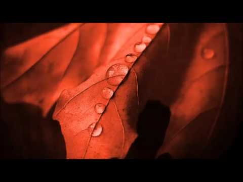 Dale Middleton: Coruscate (Original Mix)