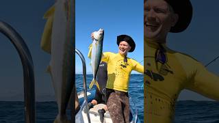 CAPE POINT DOUBLE UPS