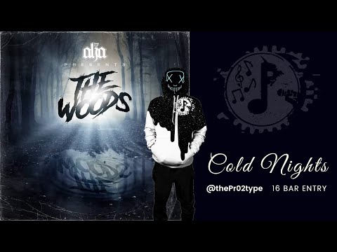The Pr02type  - Cold Nights | 16 Bars | (Prod by Alja)