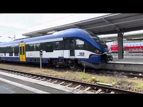 Pesa w Berlinie, mijanka S-Bahn oraz NEB | Berlin-Lichtenberg | 4K 60 fps