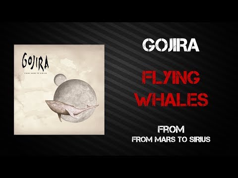 Gojira - Flying Whales [Lyrics Video]