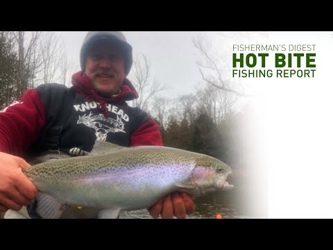 Betsie River Fishing & More Ice Fishing Reports - Hot Bite Fishing Report - Jan 29th