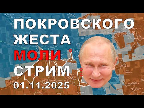 Покровского окружения ПЛАНОВЫЙ СТРИМ 1 ноября 2025