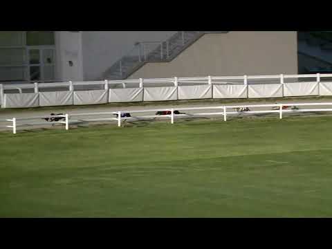 2021.05.07. 05. futam - TIPPMIX - Szezonnyitó Nagydíj A0/A1