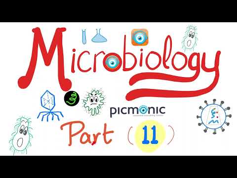 Microbiology with Picmonic | Shigella, EHEC, HUS, Yersinia enterocolitica & pestis | Part 11
