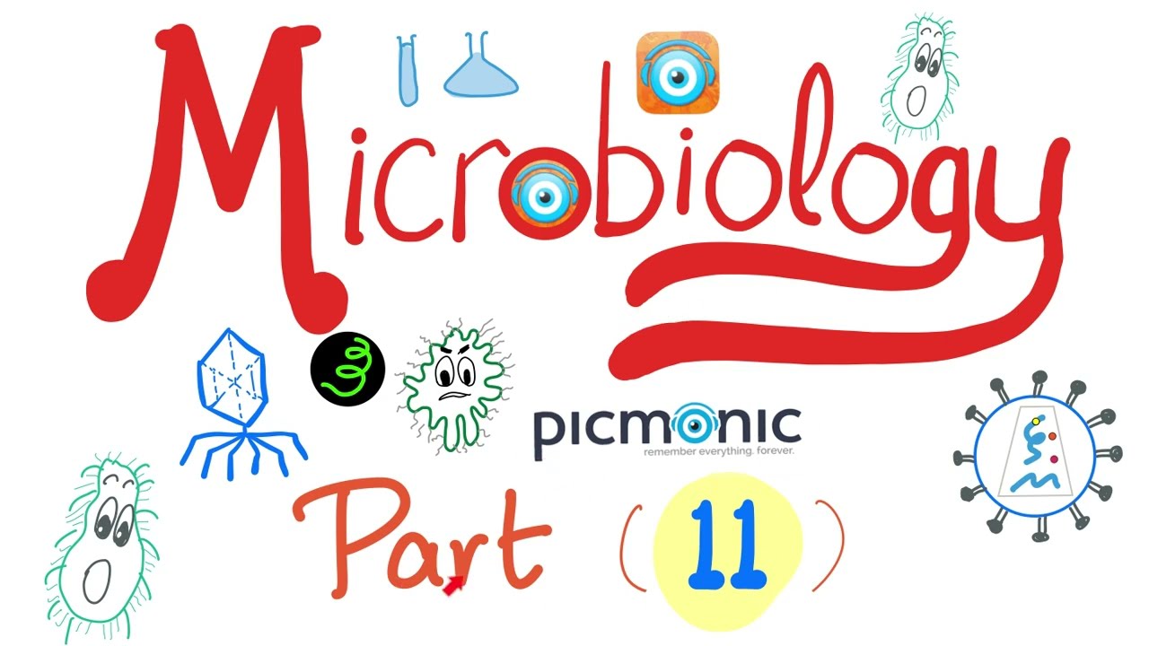 Microbiology with Picmonic | Shigella, EHEC, HUS, Yersinia enterocolitica & pestis | Part 11