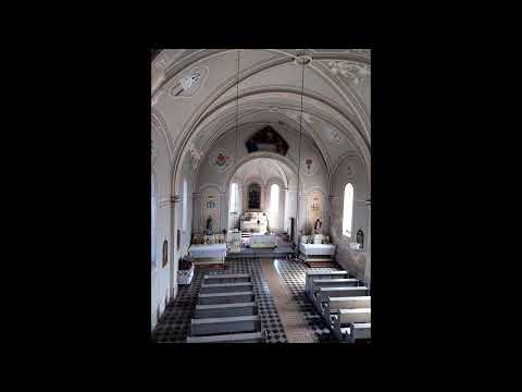 Kisszentpéter / Sânpetru Mic / Klein Sankt Peter (RO) Római katolikus templom plenum